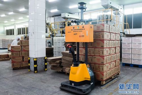 5G+工業(yè)互聯(lián)網(wǎng)賦能食品產(chǎn)業(yè)，高性能減水劑支撐基建升級——晉江高質(zhì)量發(fā)展雙輪驅(qū)動(dòng)